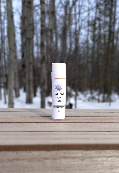 Tallow Lip Balm